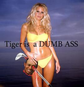 Tiger-is-a-dumb-ass